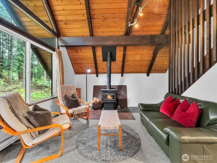 Wood burning stove- 17117 Riverview Way E