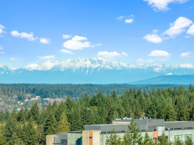 Beautiful views of the Olympic range can be seen on a clear crisp day.