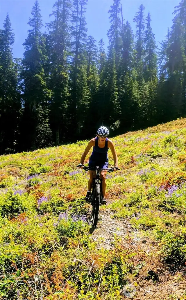 Summer Mountain Biking Lift Access