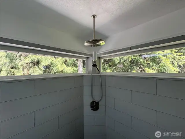 View of the Forest from your custom shower