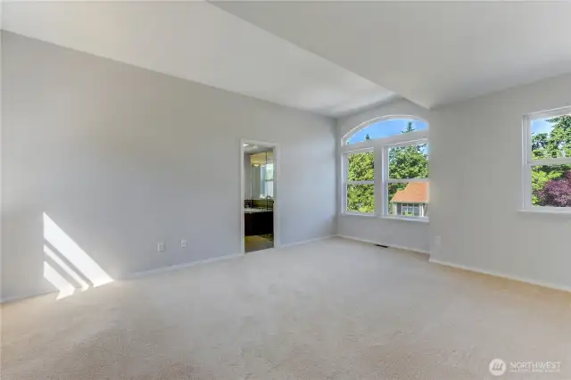 The serene primary suite offers a spacious retreat with plush carpeting, large windows with natural light, and a generous walk-in closet.