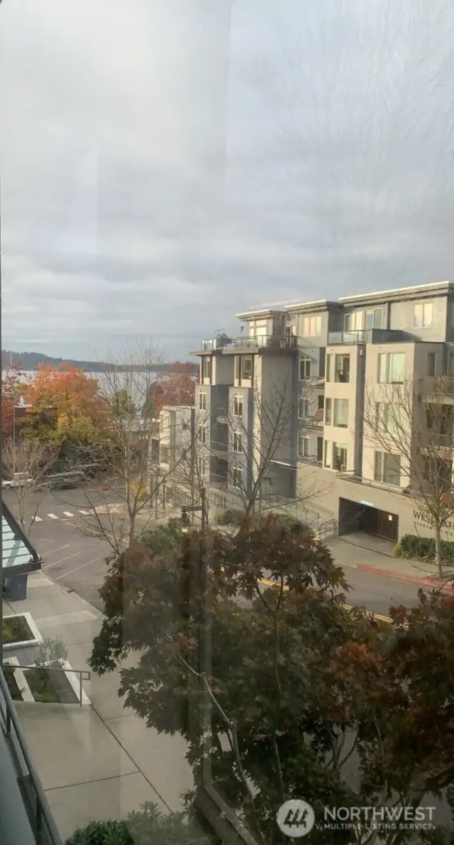 view in the winter