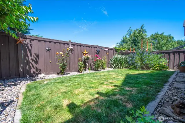 Fenced Back Yard