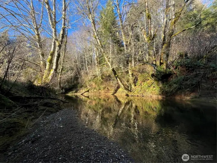 Salmon Creek