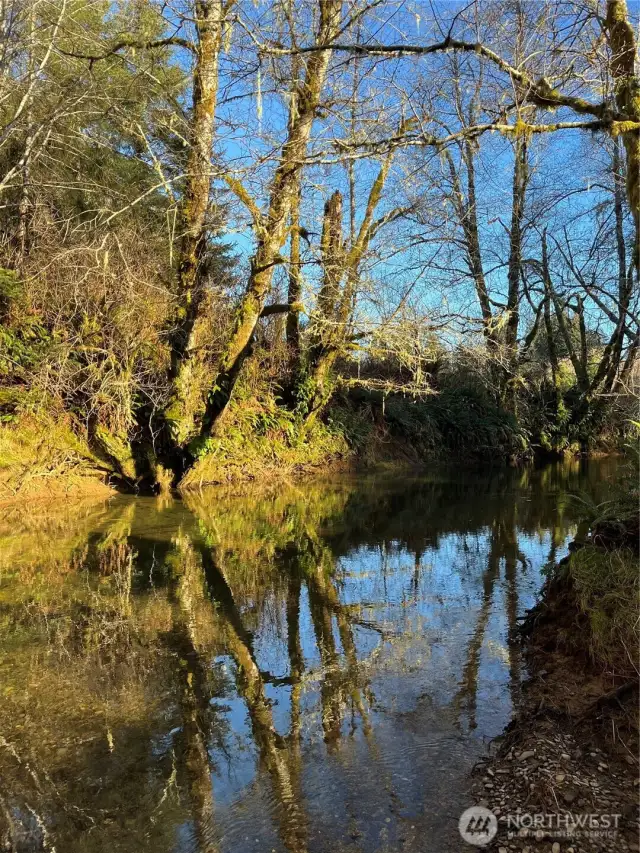 Salmon Creek