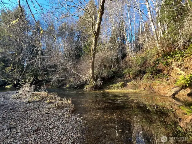 Salmon Creek