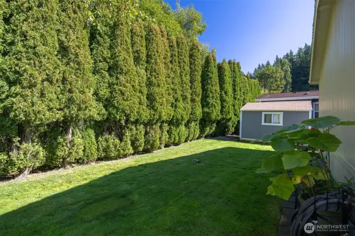 Beautiful landscaping