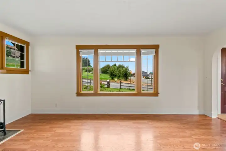 Large Picture Framed Windows