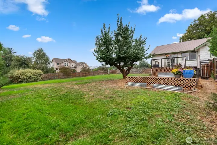 Large 1/2 Acre Lot