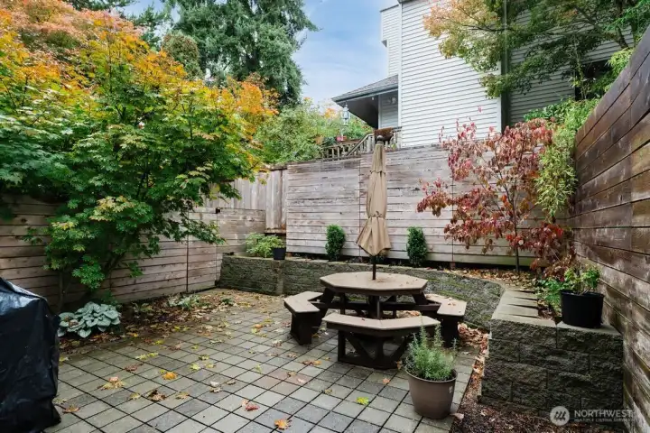 Spacious back yard- fully fenced