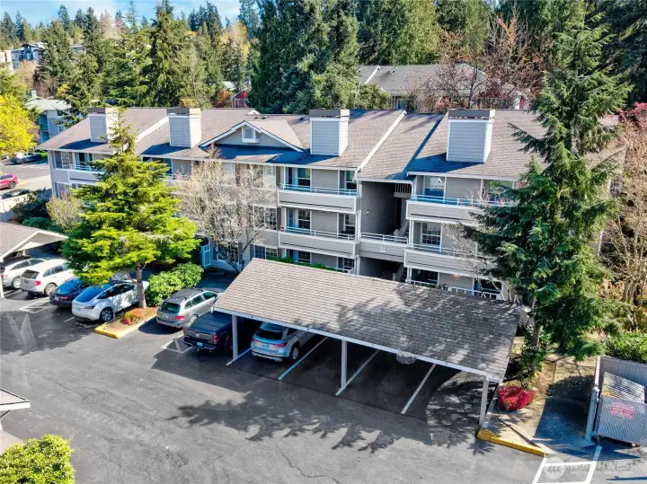 A lovely ground level unit nestled in forested serenity.