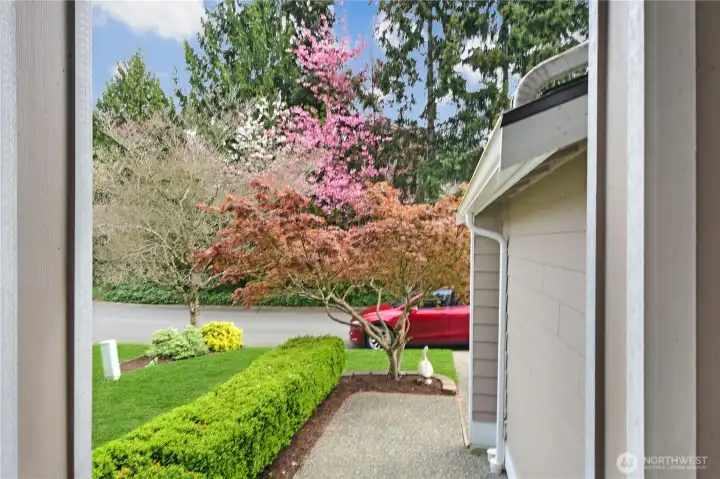 view from front door