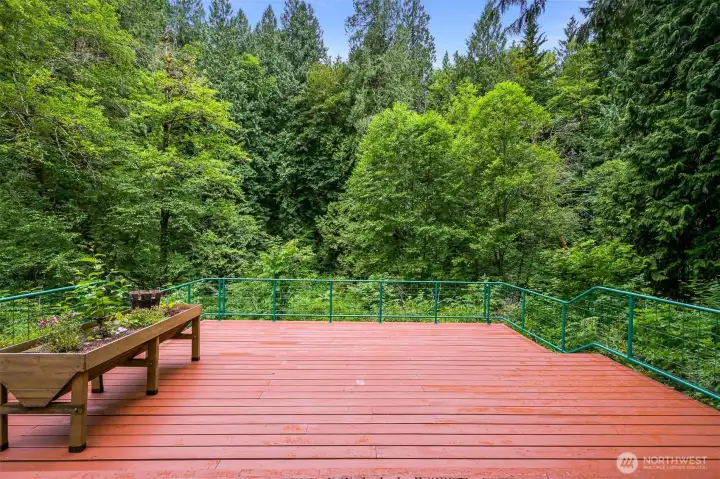 Rear deck overlooks a wooded setting with the creek below. Enjoy space for outdoor dining, entertaining, or relaxing. Rear deck overlooks a wooded setting with the creek below. Enjoy space for outdoor dining, entertaining, or relaxing.
