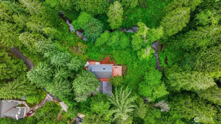 Tucked among mature evergreens, this property offers a private setting with a natural creek bordering the rear of the property. Tucked among mature evergreens, this property offers a private setting with a natural creek bordering the rear of the property.