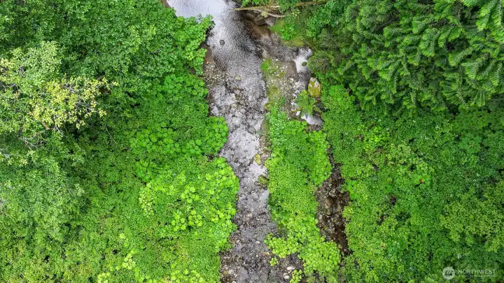 Austin Creek babbling in the background of life. Austin Creek babbling in the background of life.
