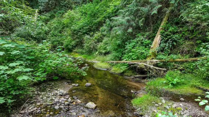 Austin Creek runs year-round, shaping the landscape of this stunning property. Austin Creek runs year-round, shaping the landscape of this stunning property.