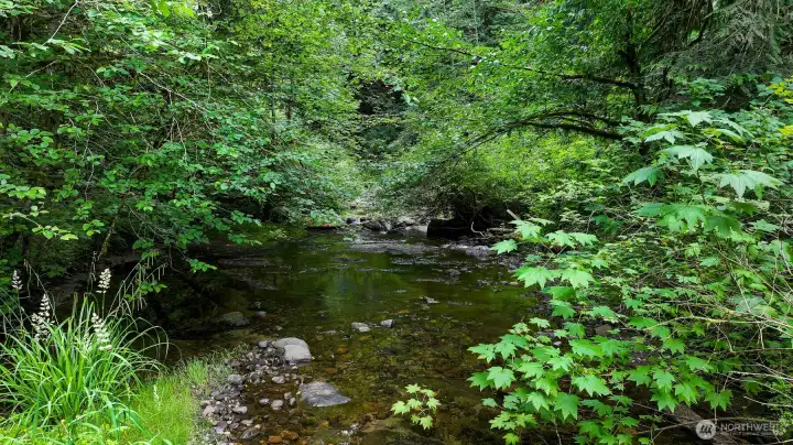 Nature lovers will delight in the sights and sounds of Austin Creek. Nature lovers will delight in the sights and sounds of Austin Creek.
