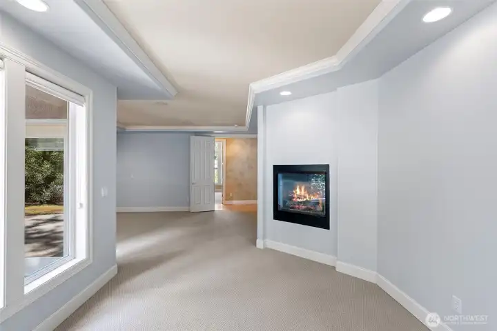 Primary Bedroom with Fireplace Primary Bedroom with Fireplace