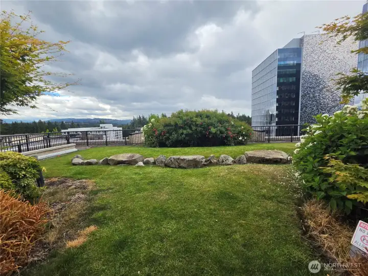 Roof top gardens from the hospitality room