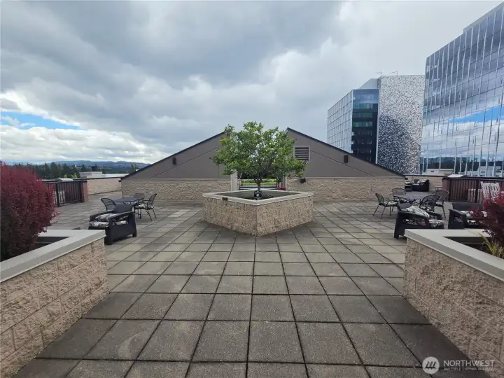 Biggest and best rooftop deck in Bellevue