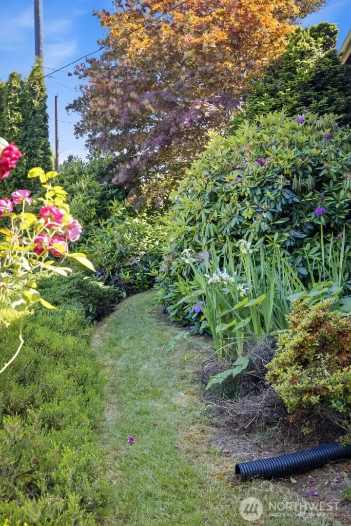 Mature landscaping surrounds this charming home.
