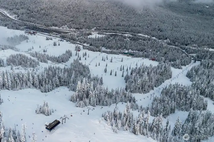 Aerial view from the top of Silver Fir. Aerial view from the top of Silver Fir.