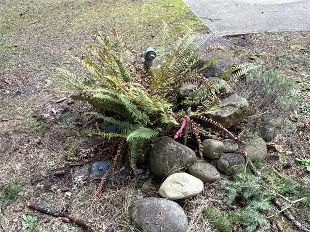 Water on Property