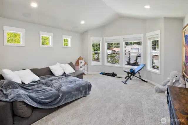 Bonus Room-vaulted ceiling