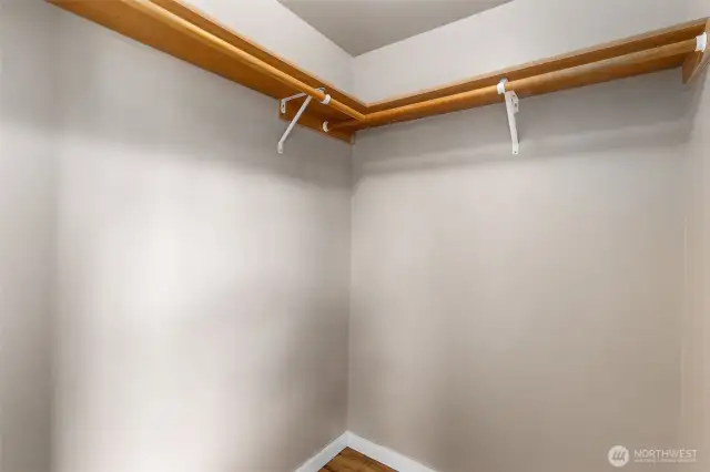 Guest Bedroom Walk-in Closet