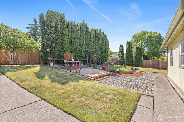 Beautiful backyard featuring a deck, raised bed garden boxes and lovely foliage. Backyard is fully fenced.