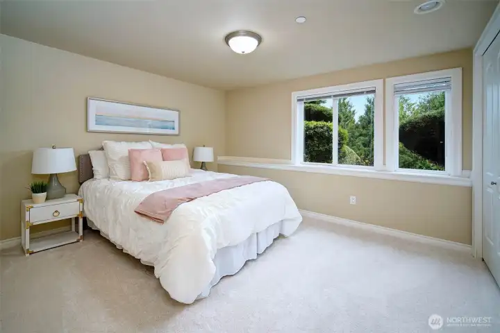 Lower level bedroom with tons of light and custom closet organizers. New carpet and paint.