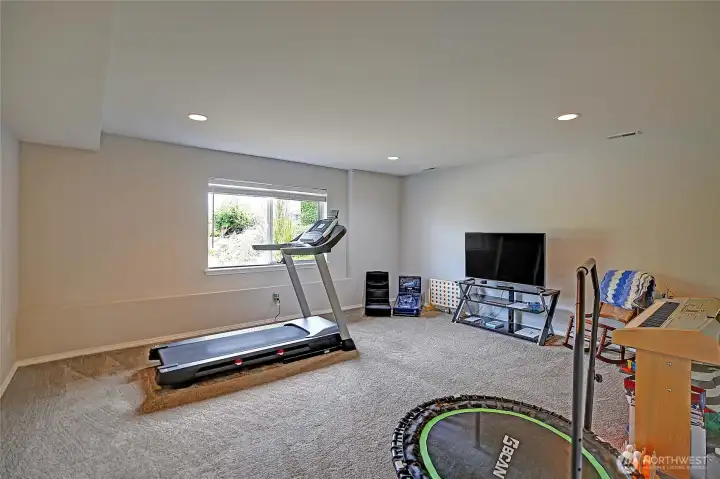 Flex space on lower level...tons of options.