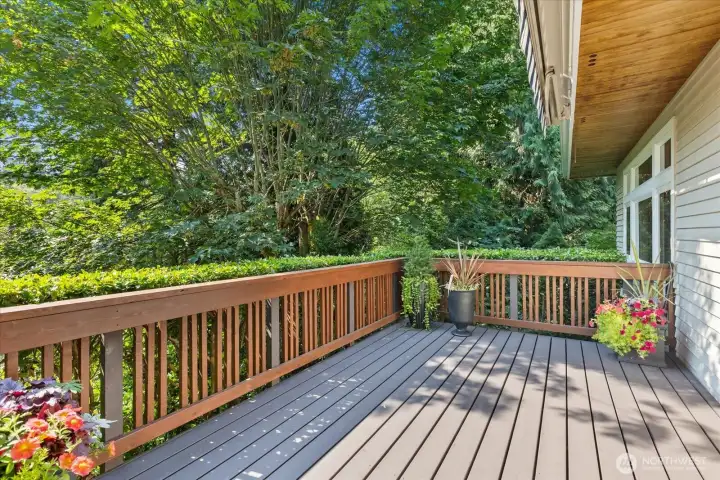 Newly built deck off kitchen
