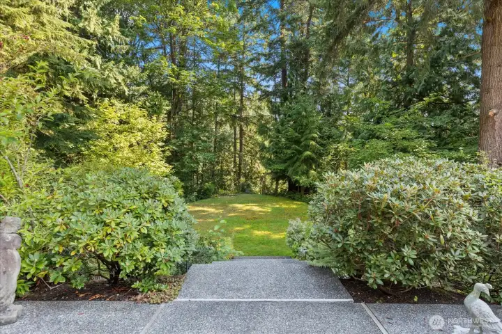 backyard patio