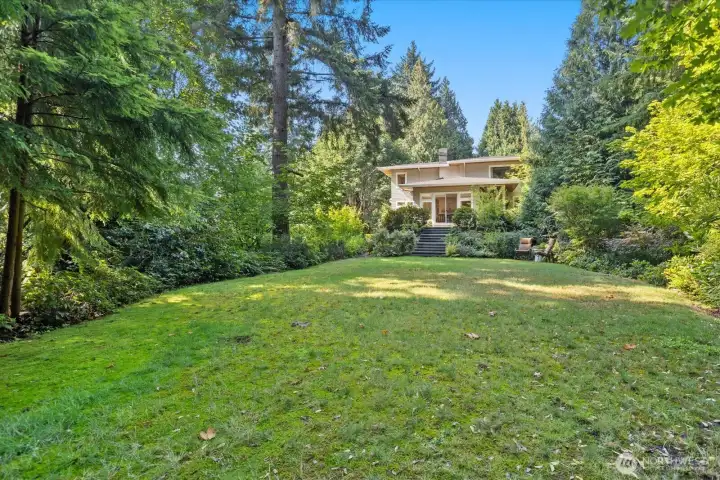 Backyard (yes it is almost a football field) looking back to the house