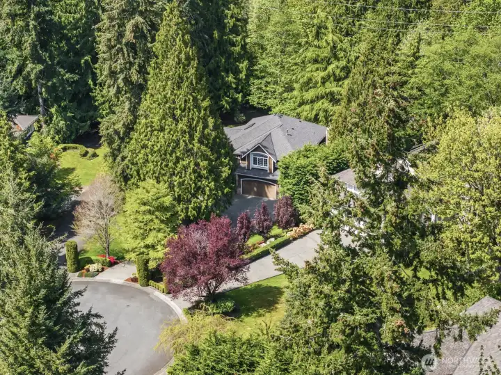 Tucked down a quiet street in the Collin Creek area of Lake of the Woods, the long driveway beckons you to this delightful home.