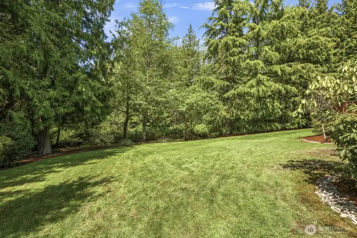 Large grassy backyard