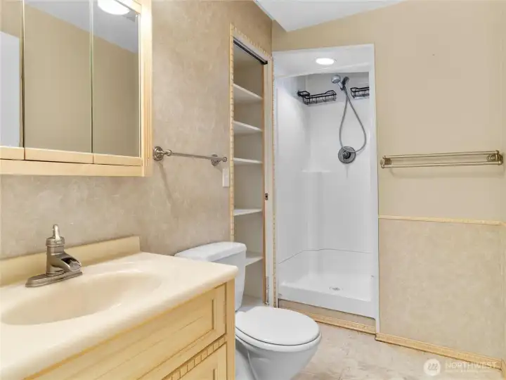 Basement Bathroom