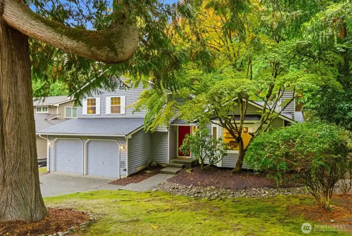 2 car garage with EV charger and extra storage. Plenty of parking in driveway too! Professionally maintained trees throughout.