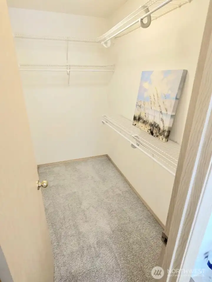 Spacious walk-in closet