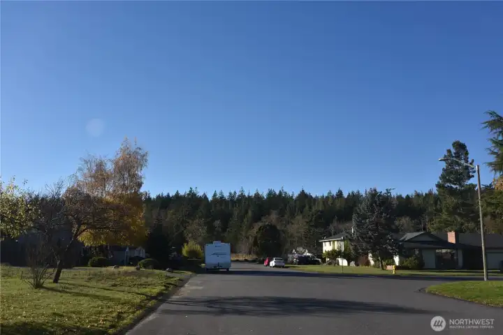 Anacortes Forest Lands trailhead 1/2 a block away.  (dead end street)