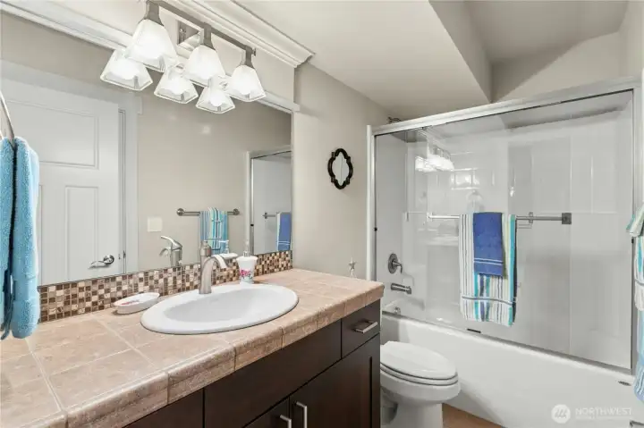 Full lower level bathroom.