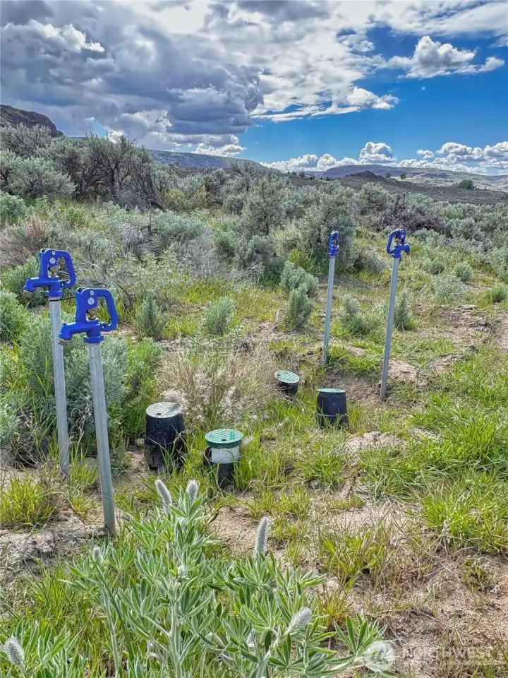 Irrigation turnouts for each lot