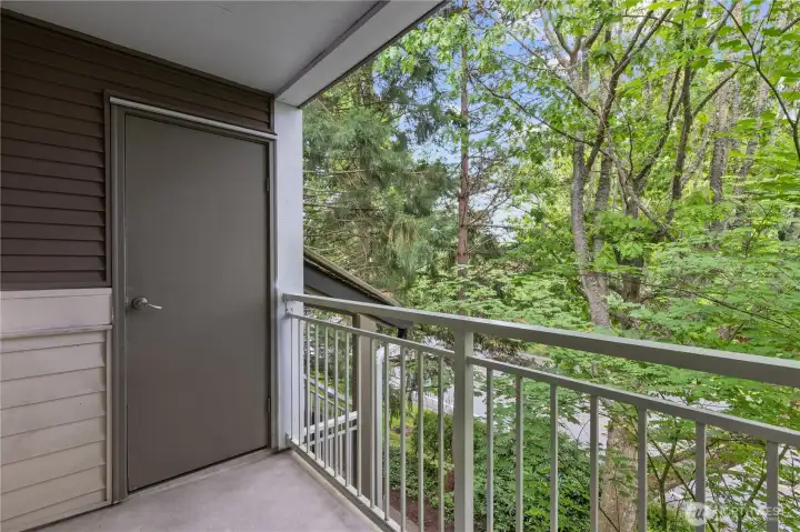 Additional storage closet, located on private balcony