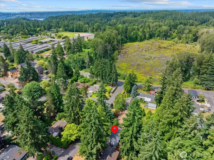 Just blocks away from sought-after Lake Washington schools including Thoreau Elementary, Finn Hill Middle School and the Enviornmental & Adventure School