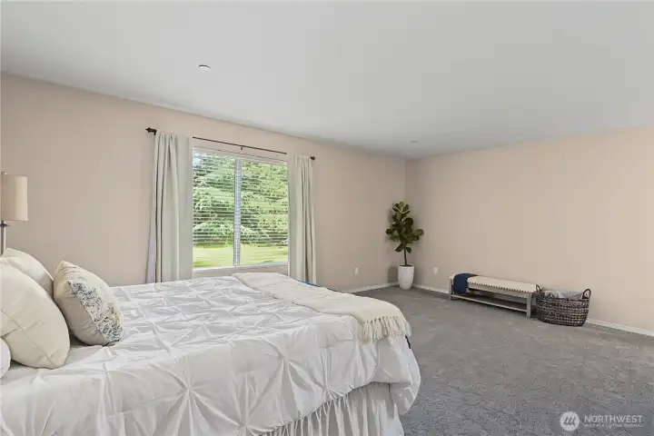 Primary Bedroom overlooking the back yard