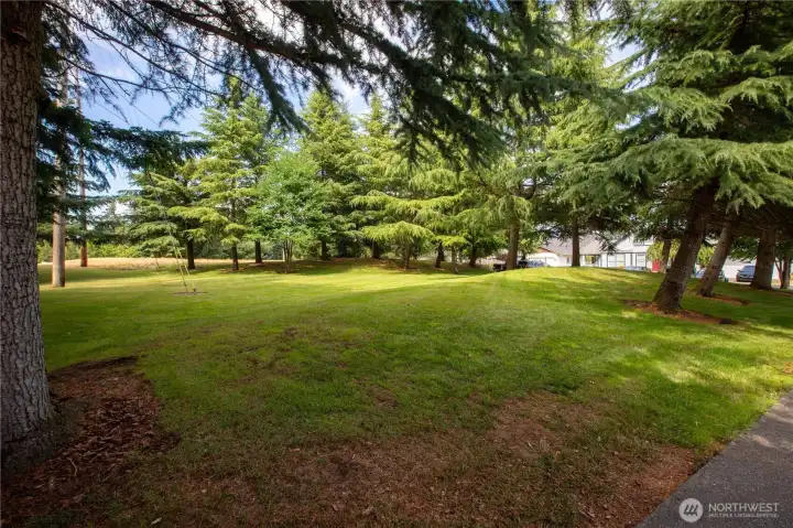 home backs up to an HOA greenspace