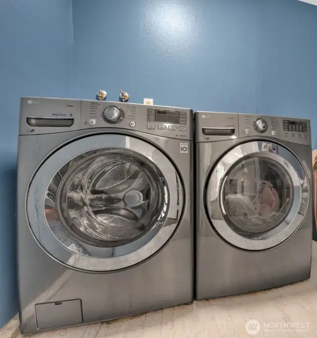 Large laundry room downstairs.  Washer and Dryer do not convey.