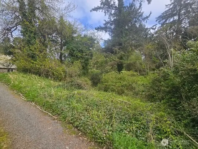 This lot in front of the house is included with this property and provides a privacy barrier.
