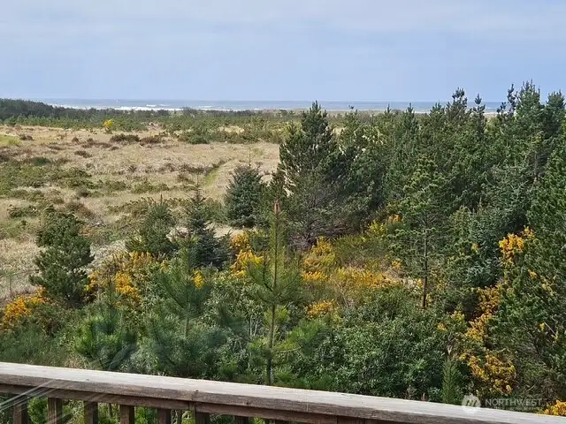 This is the view from the back deck and the living room.